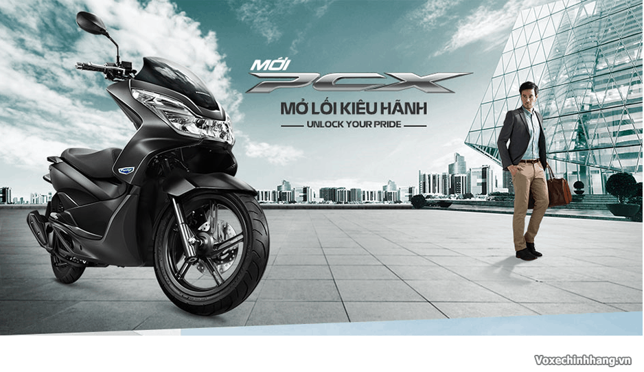 Lựa chọn vỏ xe pcx 2016 có thể thay lốp chống đinh dunlop cao cấp - 1