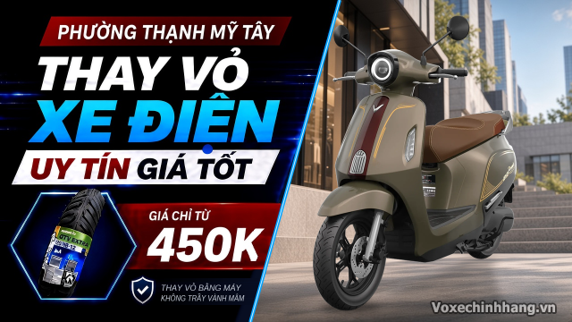 Thay vỏ xe điện ở đâu uy tín giá tốt phường thạnh mỹ tây tphcm - 1